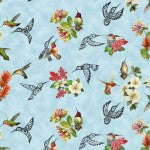 Hummingbird Vision Blue