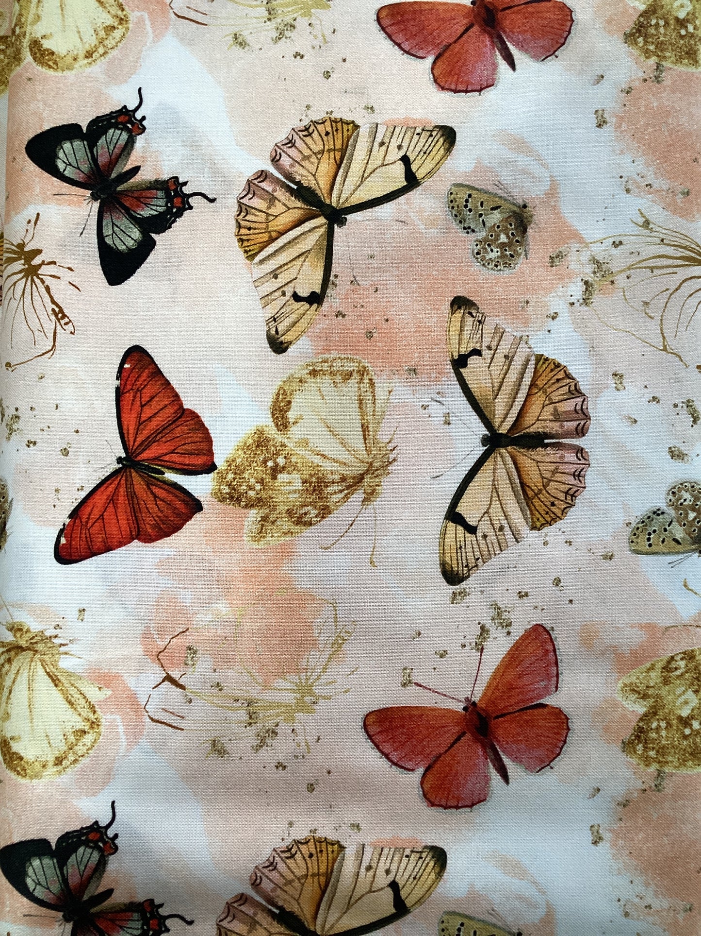 Butterflies Orange