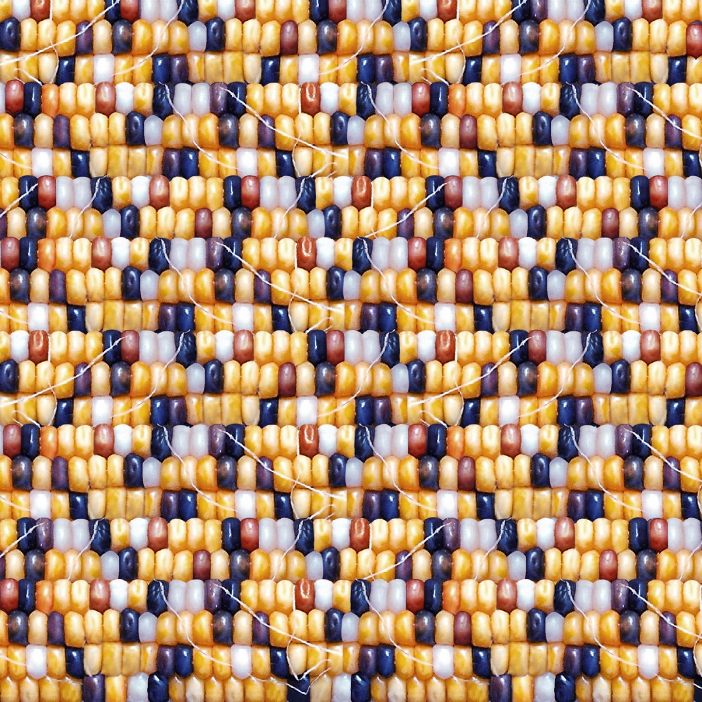 Corn