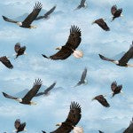 Eagle