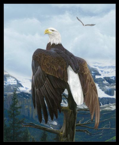 Wings of Pride 36 Inch Panel