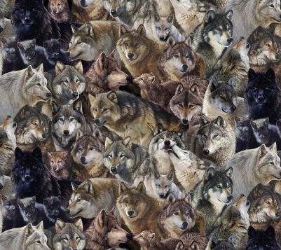 Wolves