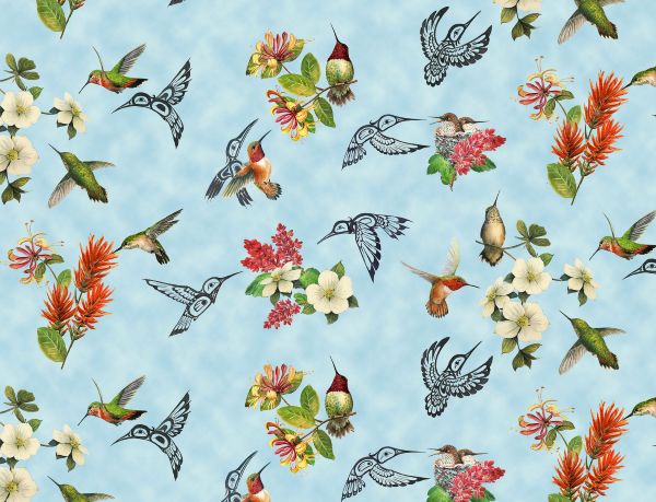 Hummingbird Vision Blue