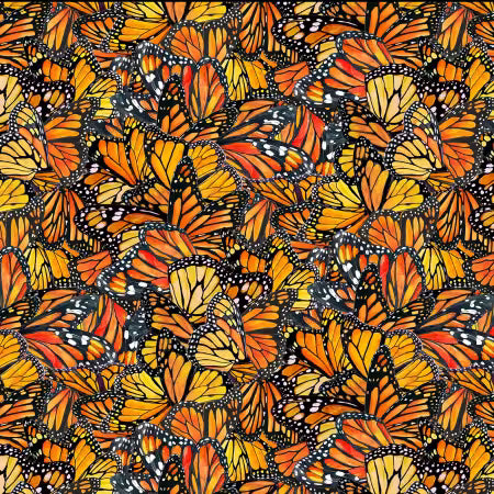 Monarch Dance Multi
