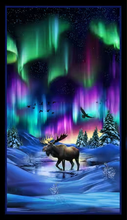 Aurora Moose Panel