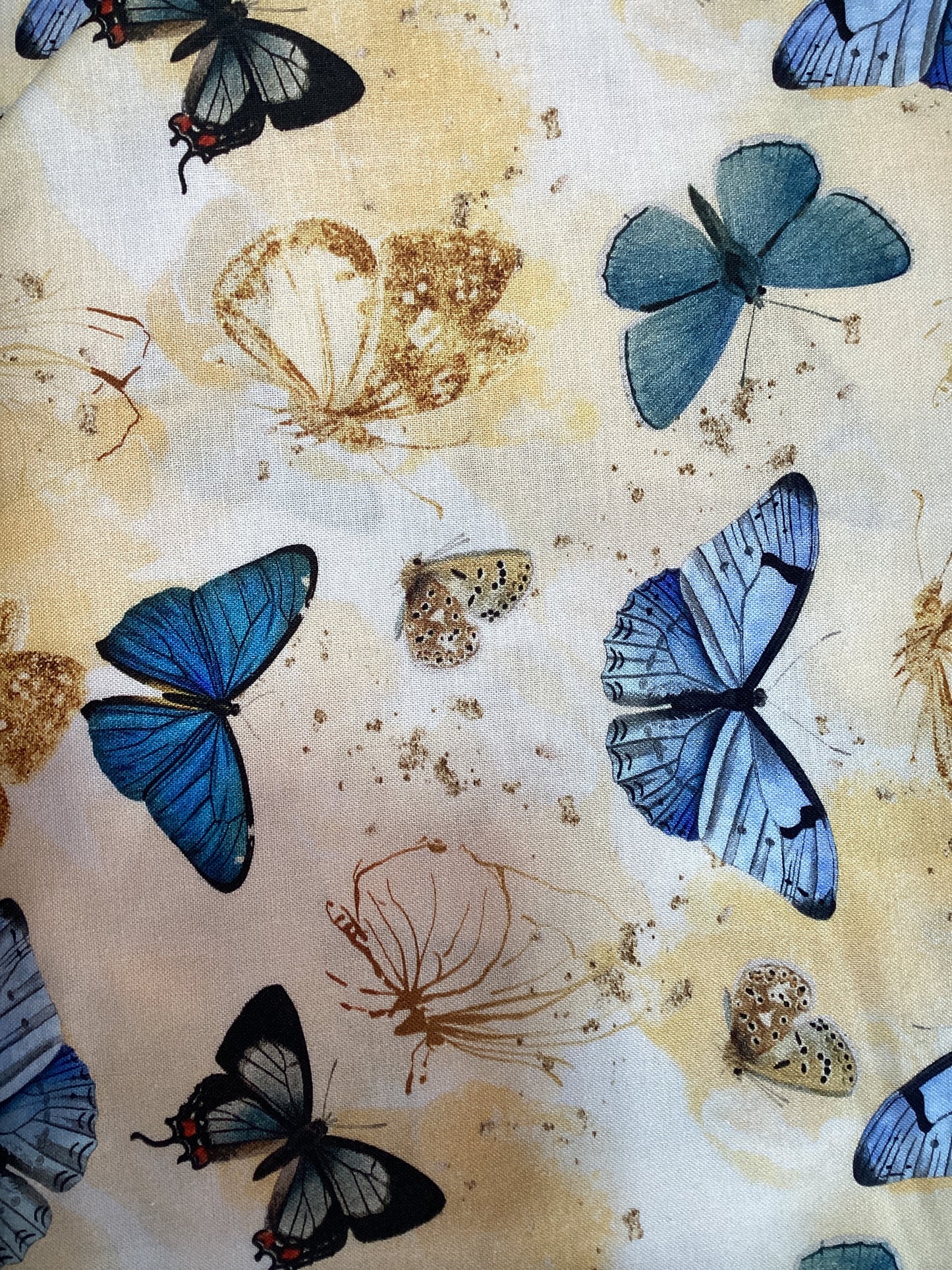 Butterflies Yellow
